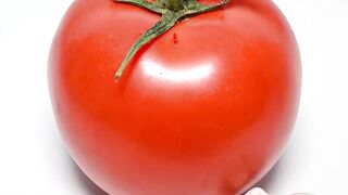 Funny toy eat the Tomato