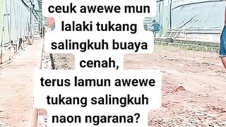ayam broiler || kata kata lucu 159