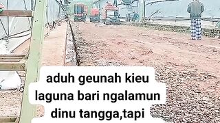 ayam broiler || kata kata lucu 160