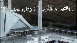 القرآن الكريم 20