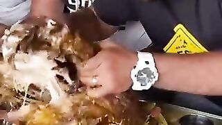 Chicken Biryani Eating Challenge ???? Hungry Ashish