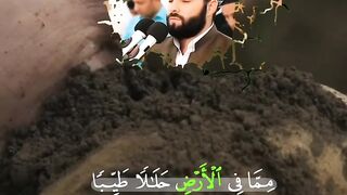 Daily Quran