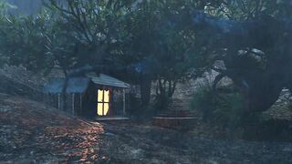 Rain | Night | Forest | Nature | Relaxing