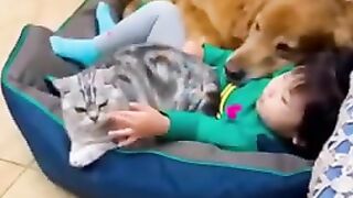Funny Cats vs Dogs Compilation part # 2