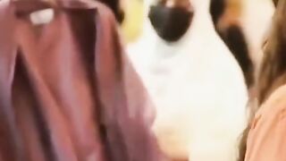 Cute princess of Dubai king mahara