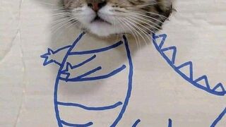 Pair or cat make love