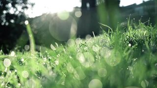 Refresh your Mind |Refresh |Mind ||Psychology| Animal |nature