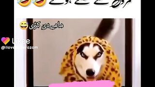 Comedy