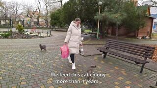 two tiny puppies story