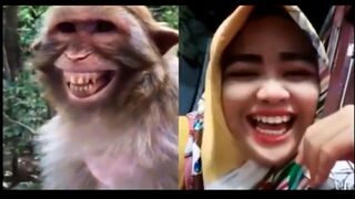 Prank dog & Fake Tiger Vs Dog Prank - RoSeak Zin