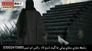 Sindhi status song