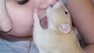 beautiful girl loving rat