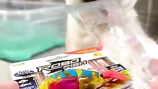Amazing cat videos