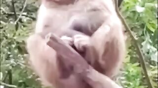 beautiful prank you cant stop smile