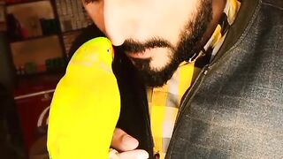 Talking parrot