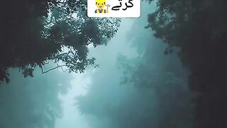 Sad Poetry