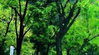 status,status video,status song,status whatsap,beast song,good song,video,natural 521