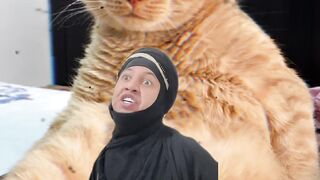 Kota ????????
