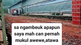 ayam broiler || kata kata lucu 162