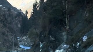 status,status video,status song,status whatsap,beast song,good song,video,natural 529