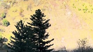 status,status video,status song,status whatsap,beast song,good song,video,natural 534