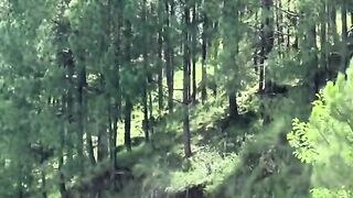 status,status video,status song,status whatsap,beast song,good song,video,natural 537