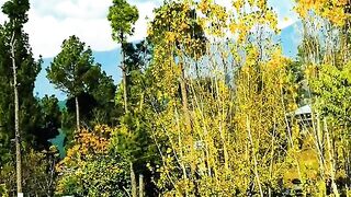 status,status video,status song,status whatsap,beast song,good song,video,natural 546