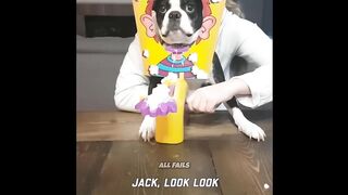 Epic Funny Moments Compilation | Best Funny Fails Caught on Camera