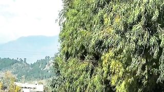 status,status video,status song,status whatsap,beast song,good song,video,natural 547