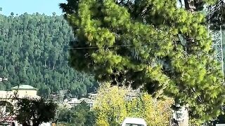 status,status video,status song,status whatsap,beast song,good song,video,natural 548