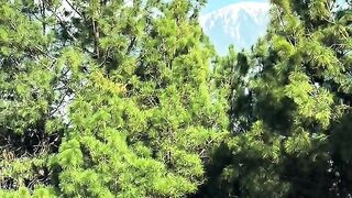 status,status video,status song,status whatsap,beast song,good song,video,natural 550