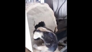 Hilarious Funny Videos Compilation | Epic Funny Fails and Vibes