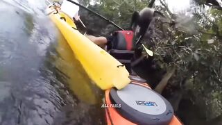 Epic Funny Compilation | Best Funny Videos and Fails Caught on Camera
