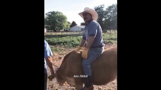 Laugh Out Loud Funny Videos | Epic Compilation of Funny Fails and Moments
