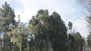 status,status video,status song,status whatsap,beast song,good song,video,natural 557