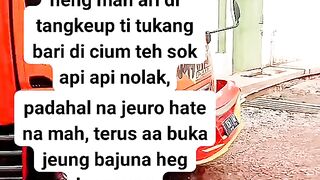 ayam broiler || kata kata lucu 166