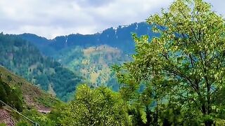 status,status video,status song,status whatsap,beast song,good song,video,natural 570