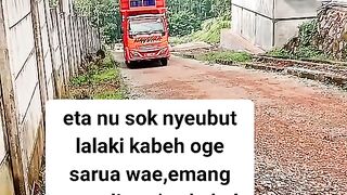 ayam broiler || kata kata lucu 167