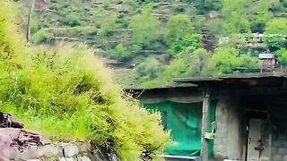 status,status video,status song,status whatsap,beast song,good song,video,natural 571