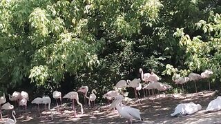 Nice day in Zoo