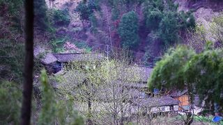 I hope that someday in the future, Xiaobei can remember and understand what I said today. Planting a tree requires its roots to be straight.