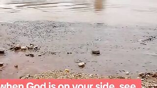 When_God_is_on_your_side_see_the_last_calf