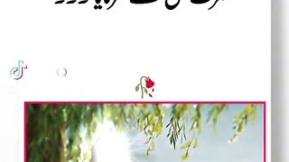 Hazrat Ali quotes in Urdu 182