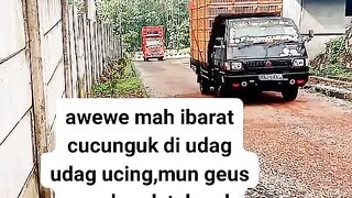 ayam broiler || kata kata lucu 168