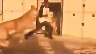 خرع قلبه مسكين