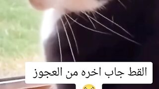 ضحك للركب ????. #اضحك_معنا ????