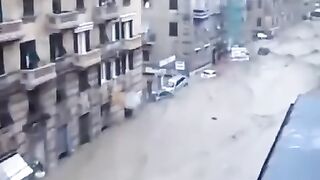 مباشرة من البرازيل