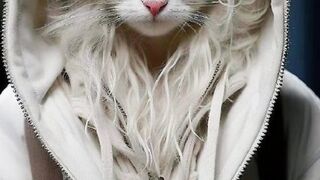 CATS FASHION SHOW ???? #fashion