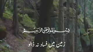 القرآن 32
