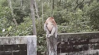 refreshing in the mangrove forest